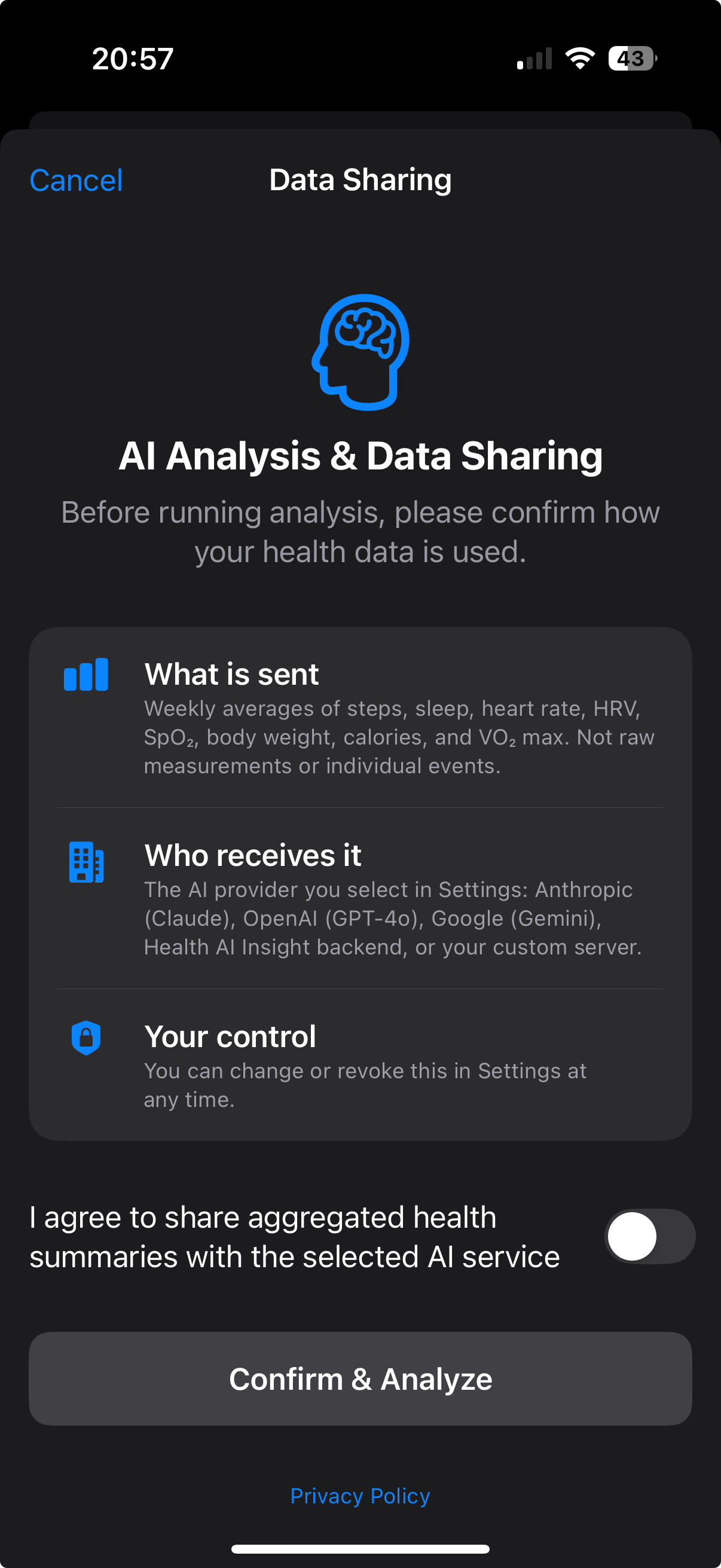 Give consent to sharing aggregated health summaries with the selected AI service.